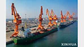 중국, 요소 이어 화학비료 원료 인산암모늄도 수출 통제