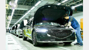 ‘임원車’ 제네시스 세단 판매 급감…“생산라인 대조정”