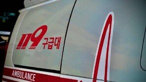 달리다 전복된 차에서 운전자 나오더니…