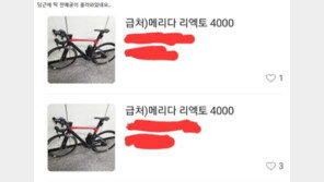 중2 아들 사준 자전거가 당근에 ‘급처분’ 매물로…황당