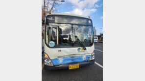 시내버스가 승객 승하차로 정차 중이던 버스 받아…14명 경상