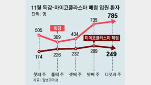 독감-마이코플라스마 폐렴 동시 유행… 정부, 합동 대책반 구성 
