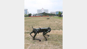 LIG넥스원, ‘용산 경호’ 로봇개 美업체 인수 추진 