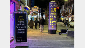 “단속 나와도 숨기면 그만”…인도 점령한 불법 옥외 광고물 눈살