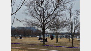 12월인데 한강서 돗자리 펴고 낮잠…겨울 사라진 주말 ‘밖으로 밖으로’