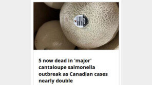 멜론 먹고 5명 사망… 캐나다서 129명 살모넬라 감염