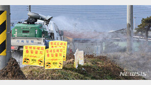 김제·아산 산란계 농장서 고병원성 AI…일주일 만에 6건 확진