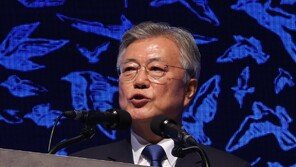 文 “대화 중단이 북핵 발전 촉진”…與 “어느 나라 대통령이었나”