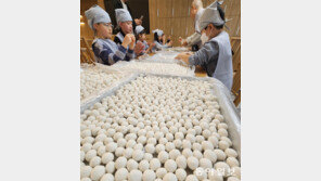 새알심 만드는 고사리 손 