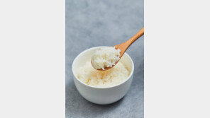 스키장 식당 밥통서 ‘회색 수건’ 발견…“수백 명 먹었는데”