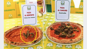 “가짜 식품이다”…피자에 ‘뱀’, ‘귀뚜라미’ 올리자 경악한 이탈리아