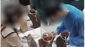 ‘도금 은목걸이’ 금은방에 팔아 6000만원 챙긴 20대 구속