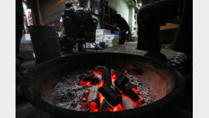 “설거지 하느라” 고기굽던 숯불 방치해 불 낸 30대 종업원, 벌금형