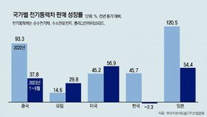 전기차 빅마켓 獨도 역성장, 각국 보호주의 확대… 수출 ‘경고등’ 