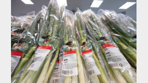 ‘모아나’ 대파-‘덤보’ 토마토는 무슨맛 