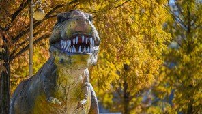 “공룡 멸종, ‘초대형 화산 폭발’ 뒤 급격한 기온 하강 탓”