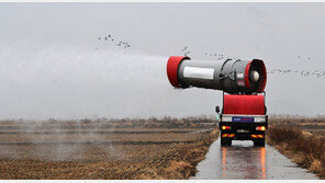“조류인플루엔자 확산 막아라” 영암호 철새 도래지 방역 