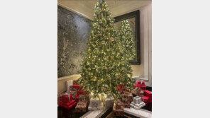 ‘현빈♥’ 손예진 “제가 입었던 옷 내놓을 것” 자선바자회 예고