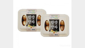 농협, 재배·유통 단계에 친환경 고려한 ‘ESG 양파’ 출시