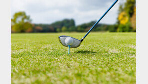 골프공 맞아 영구 실명…타구자·골프장 불기소처분에 피해자 항고