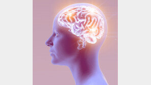 “‘이것’하면 뇌 쪼그라든다” 알츠하이머·치매 연관 주목