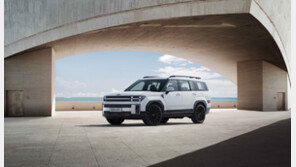 ‘정글짐도 싣는 차’… 박스형 디자인이 빚어낸 광활한 실내 공간감 