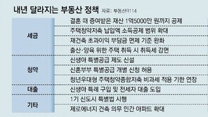 2년내 임신-출산 가구에, 내년부터 신생아 특공-특례 대출 