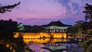 야경에 취한다… 동궁과 월지 ‘한국관광의 별’