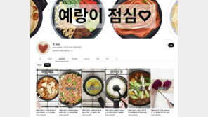 “남편 도시락 싸주는 노예”… 유튜버에 누리꾼 갑론을박