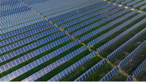 아마존, 한국 첫 태양광 투자…“2만5000가구 공급량”