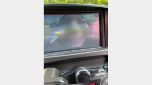 후방카메라 ‘깜짝’ 챌린지…“장난에 목숨 거는 사람들”