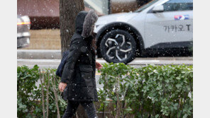 서울 전역 오후 9시 한파주의보…서울시 24시간 비상근무