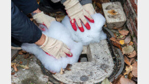 바람에 날린 보온재가 전선 접촉…신월동 180세대 정전