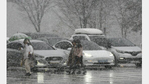 전국 대설·한파…항공기, 여객선 결항 등 피해 잇따라