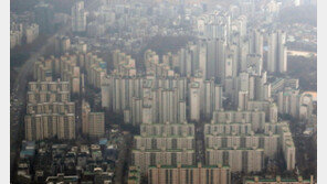 2차 조정기 왔나…서울 아파트 실거래가지수 ‘-0.08%’ 올해 첫 하락