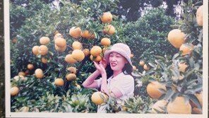 “편히 쉰적없이 일만하던 내 아내”…5명 살리고 하늘로