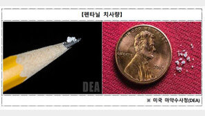 檢, ‘펜타닐 불법처방 의사’ 징역 2년에 항소…“직업윤리 훼손”