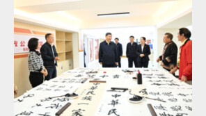 시진핑, 광시 좡족자치구 시찰…개방형 경제체계 강조