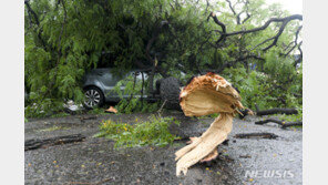 아르헨에 시속 150㎞ 폭풍 강타…최소 14명 사망