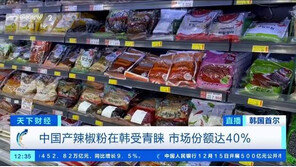 “한국서 중국산 고춧가루 인기, 가성비 굿”…中언론 보도 실화냐