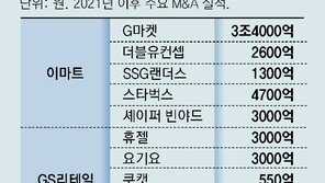 ‘M&A 승부수’ 이마트-GS-롯데… 시너지 효과 대신 적자 ‘울상’