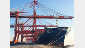 병아리 10마리로 시작한 하림, HMM 품고 재계 13위로 도약