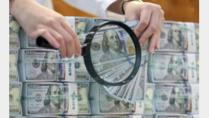 이달 29일 외환시장 휴장…1월2일 개장 오전 10시부터