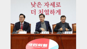 與 “메가시티법 특별광역시 최초 도입…국토개발 땐 파격적 권한”