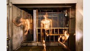 ‘고려대 몸짱달력’ ‘7년 익명 기부’…한파 속 온기 나눔