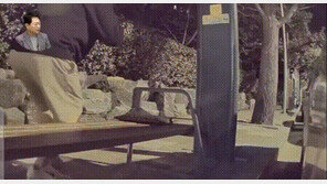 벤치서 뒤로 꽈당한 남성에 주차 차량 파손…경찰 “처벌 불가” 왜?