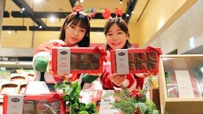 [포토]신세계백화점, ‘소포장 과일’ 선봬… 1인 가구 선물로 적당