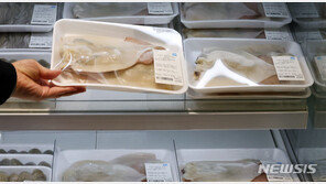 해수부, 오징어 어획 부진 긴급경영자금 최대 3000만원