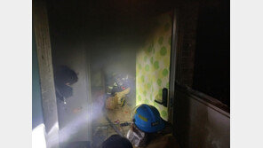 자택에 불내고 경찰에 흉기 휘두른 불법체류자…마약 환각 조사