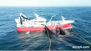 원산지 걱정 없어… 노르웨이 수산물에 ‘이 마크’ 아직도 모르시나요?